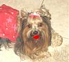 Happy Valentine's Day... Love, Jackson-chanellips2.jpg