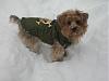 Fiona is OBSESSED with the SNOW!-snow-storm-christmas-2009-005.jpg