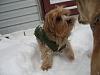 Fiona is OBSESSED with the SNOW!-snow-storm-christmas-2009-007.jpg