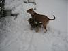 Fiona is OBSESSED with the SNOW!-snow-storm-christmas-2009-008.jpg