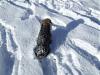 Cody's fun in the snow!-2wr3wgi.jpg