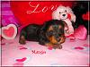 Kiwi, Cherri, Mango V-Day Pics!!-mango-3wks-01.jpg