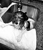 Bath Time-dsc_0003baw.jpg