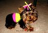 My Little Luxy...-flourescentsluxyfm.jpg