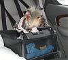 Travelin' yorkie-travelin-yorkie.jpg