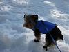 First trip to the snow!-img_3297-2.jpg