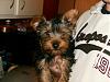 Meet my baby boy buddy-n212301161_30723557_3880.jpg