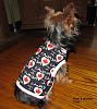 My very first dog dress EVER!!-img_0171.jpg