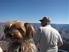 Bentley at the Grand Canyon!-00178-small-.jpg