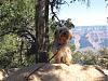 Bentley at the Grand Canyon!-00185-small-.jpg