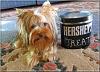 3 lb yorkie pixs ???-hershey-ge-012.jpg