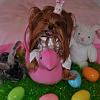 Princess Pia wishes everyone a Happy Easter!-easter7-600-x-600-.jpg