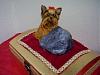 My Yorkie for the Charity Gala Auction!-p4060131.jpg