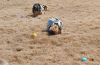 We went on an egg hunt!-dsc_0318.gif