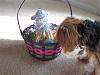 Bentley's Easter Basket-003-small-.jpg