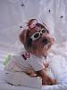 lets see your doggles-b_150043.jpg