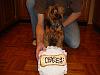 Chase's first birthday!-004.jpg