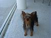 Buddy's Bath-See how tall he is!-dsc02200.jpg