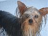 Buddy's Bath-See how tall he is!-dsc02198.jpg