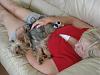 Buddy the Lap Dog-dsc02222.jpg