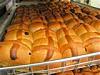 Best Yorkie Butt Competition-thumbnailca40hpof.jpg
