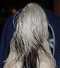 Best Yorkie Butt Competition-whitedog.jpg