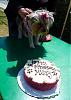 Pics from Missy's 1st bday pawty!-p1020035.jpg