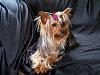 Sophie Belle is 1 year old today!-100_2507.jpg