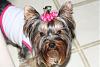 Tila in bow from Mimimomo-pink-dot.jpg
