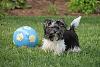 Jus' me and my ball....-109.jpg