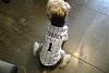 Look at His Birthday Jersey!-dsc02561.jpg
