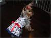 Sadie's Beautiful 4th of July Dress!!!-sadie-dress.jpg