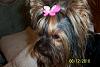Jada styling in her new butterfly hair bow from Turtledove-100_0608.jpg