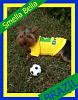 World Cup Fans ~~BRAZIL-bellasoccer-1-1-1.jpg