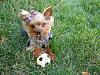 World Cup soccer-dsc00998_2.jpg