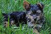 Zoey Leigh-rsz_3csc_0251.jpg