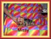 BoBo and Missy-picture-011.jpg