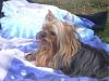 Some outdoors pics of my babies.-cimg8321.jpg