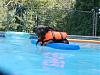 Day at the pool for Dexter & Fletcher-dex-pool2-july-11-2010.jpg