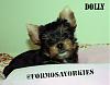 ♥♥ New Photos of Dolly ♥♥-s8weekdollycuteface.jpg