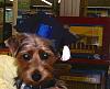 Rhett Graduated today!-codys-graduation-062710-2.jpg