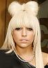 If Lady Gaga had a yorkie...-101349.jpg