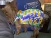 Emma's Rocking her Sweater!!-emmas-sweater-1.jpg