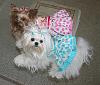 Annika and SeRi shows off their new gofetch outfits-annika-seri.jpg