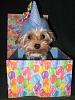 Wally's 1st Birthday Pictures-picture.jpg