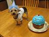 Wally's 1st Birthday Pictures-picture-020.jpg