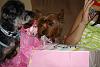 Max & Lily's Birthday Pawty!-presents.jpg