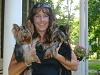 Susan's Yorkies-dsc02466.jpg