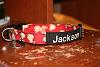 Jackson's new collar + other randoms-img_9894.jpg