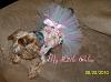 My little Chloe in her tutu dress-chloe-wearing-tutu-dress-2-copy.jpg